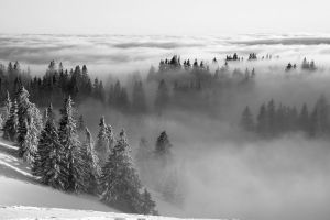 Brouillard sur le Jura